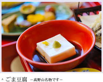 ごま豆腐－高野山名物です－
